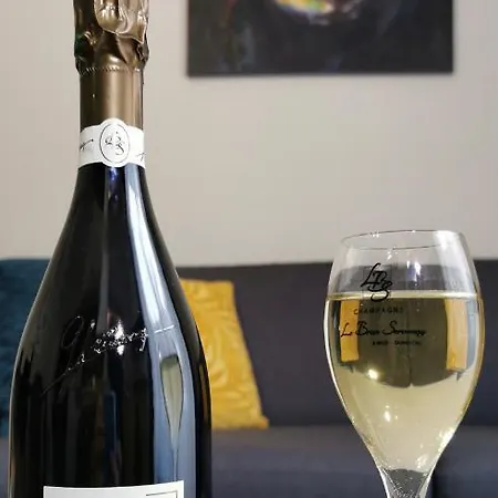 Monkey 2 Salles Bain Et 1 Wc Hypercentre 6 Pers アパート