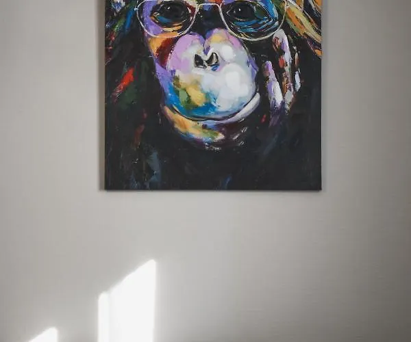 Monkey 2 Salles Bain Et 1 Wc Hypercentre 6 Pers